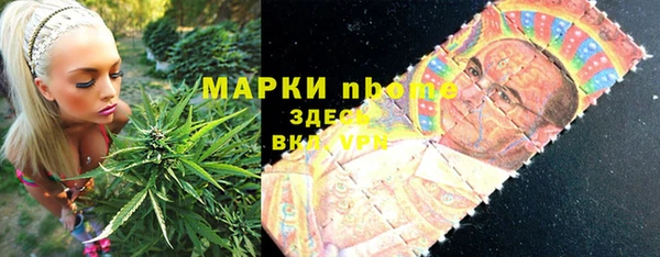 гашик Майский