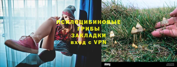 Альфа ПВП Липки