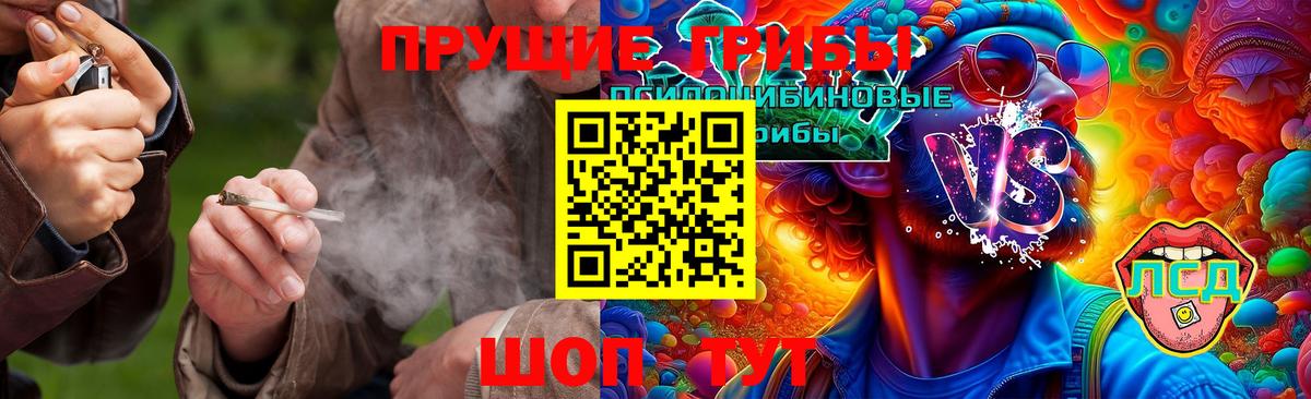 Псилоцибиновые грибы GOLDEN TEACHER Усть-Лабинск