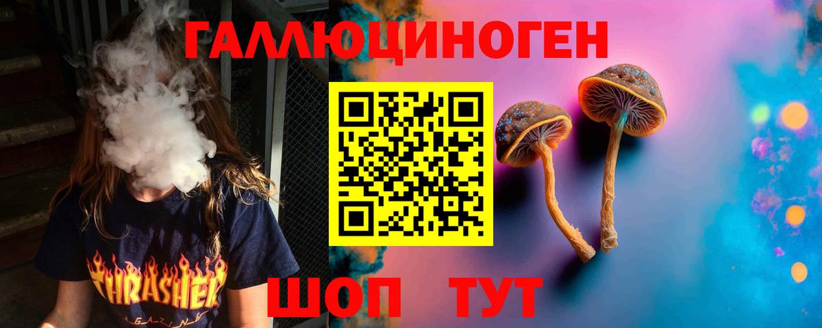 Усть-Лабинск  где купить наркоту  Псилоцибиновые грибы ЛСД  Вход с VPN  Псилоцибиновые грибы Psilocybine cubensis 